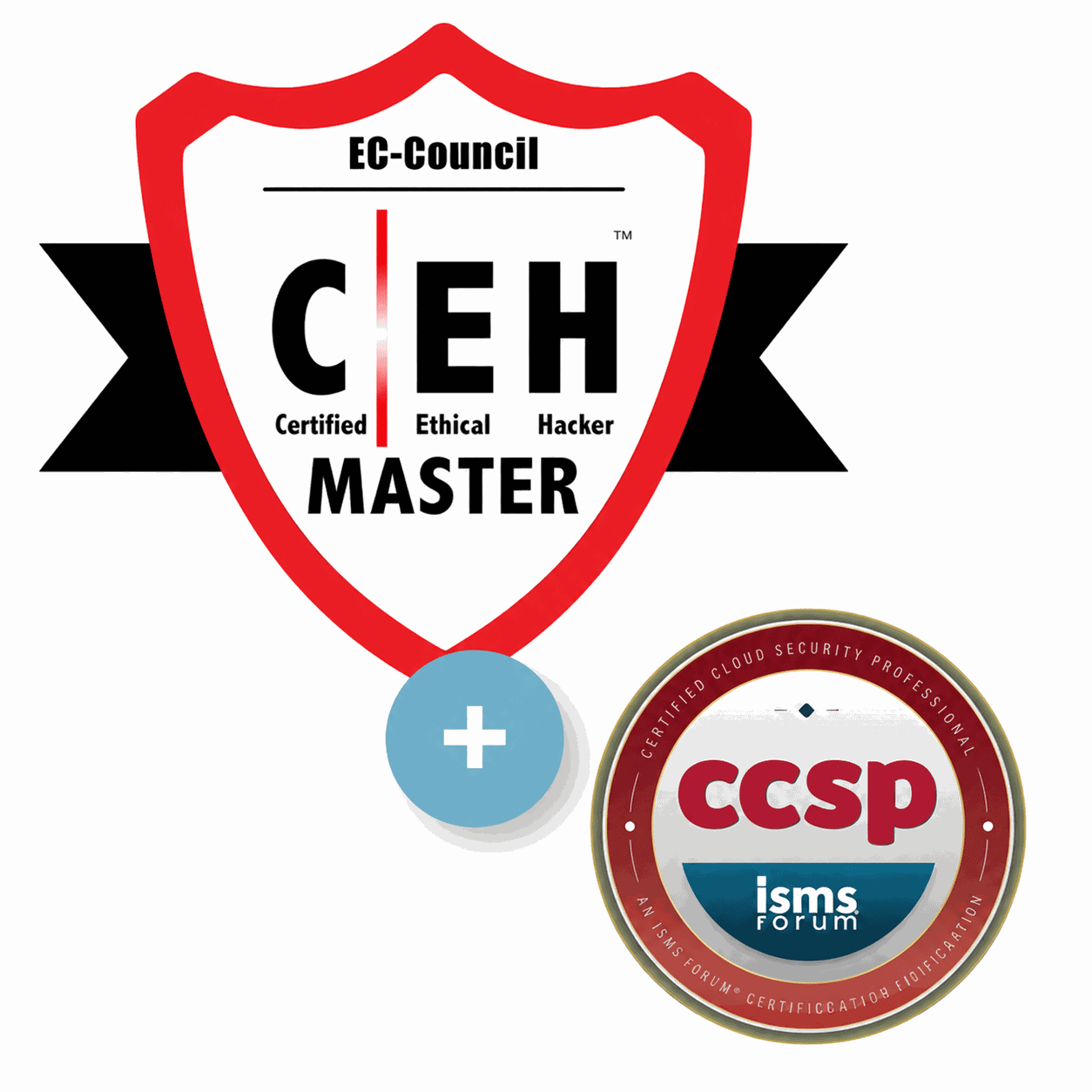 Professional Cybersecurity (CCSP + C|EH Master)